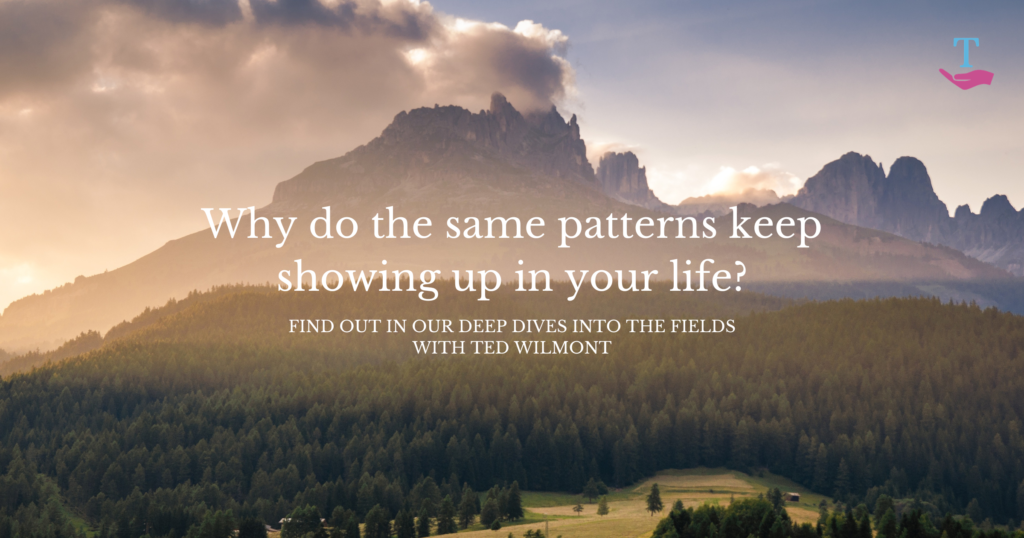 Misty mountain forest landscape at sunrise, with text overlay reading "Why do the same patterns keep showing up in your life? Find out in our Deep Dives Into the Fields with Ted Wilmont."